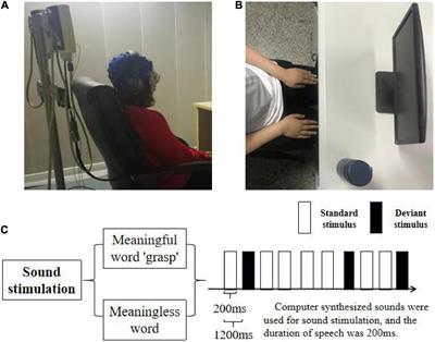 Activation of the brain during motor imagination task with auditory stimulation